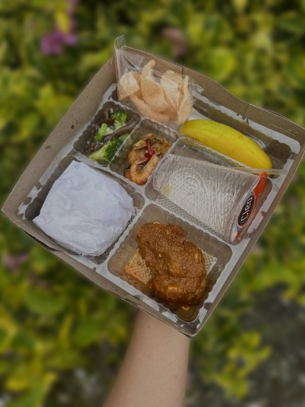 Nasi Kotak 2